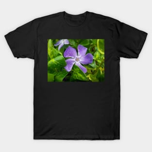 Purple flower T-Shirt